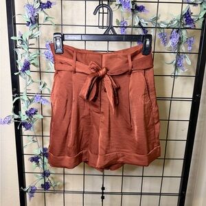 Express Rust Brown Tie-Waist Shorts